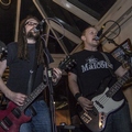 Click to enlarge GutterPunk - Professional Concert Photography